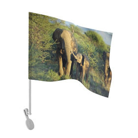 Флаг для автомобиля с принтом Слониха и слоненок в природе , 100% полиэстер | Размер: 30*21 см | африка | африканский | бивни | большой | гигант джунгли | зоопарк | индийский | индия | лесной великан | мамонт | огромный | саванна | сафари | серый | слон | слоненок | слониха | стадо | уши | хобот
