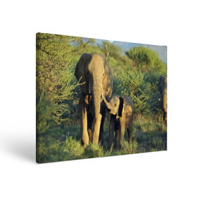 Холст прямоугольный с принтом Слониха и слоненок в природе , 100% ПВХ |  | Тематика изображения на принте: африка | африканский | бивни | большой | гигант джунгли | зоопарк | индийский | индия | лесной великан | мамонт | огромный | саванна | сафари | серый | слон | слоненок | слониха | стадо | уши | хобот