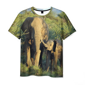 Мужская футболка 3D с принтом Слониха и слоненок в природе , 100% полиэфир | прямой крой, круглый вырез горловины, длина до линии бедер | африка | африканский | бивни | большой | гигант джунгли | зоопарк | индийский | индия | лесной великан | мамонт | огромный | саванна | сафари | серый | слон | слоненок | слониха | стадо | уши | хобот