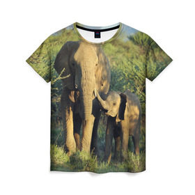 Женская футболка 3D с принтом Слониха и слоненок в природе , 100% полиэфир ( синтетическое хлопкоподобное полотно) | прямой крой, круглый вырез горловины, длина до линии бедер | африка | африканский | бивни | большой | гигант джунгли | зоопарк | индийский | индия | лесной великан | мамонт | огромный | саванна | сафари | серый | слон | слоненок | слониха | стадо | уши | хобот