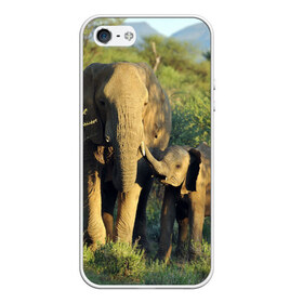 Чехол для iPhone 5/5S матовый с принтом Слониха и слоненок в природе , Силикон | Область печати: задняя сторона чехла, без боковых панелей | африка | африканский | бивни | большой | гигант джунгли | зоопарк | индийский | индия | лесной великан | мамонт | огромный | саванна | сафари | серый | слон | слоненок | слониха | стадо | уши | хобот