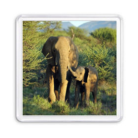 Магнит 55*55 с принтом Слониха и слоненок в природе , Пластик | Размер: 65*65 мм; Размер печати: 55*55 мм | африка | африканский | бивни | большой | гигант джунгли | зоопарк | индийский | индия | лесной великан | мамонт | огромный | саванна | сафари | серый | слон | слоненок | слониха | стадо | уши | хобот