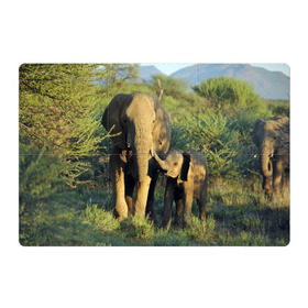 Магнитный плакат 3Х2 с принтом Слониха и слоненок в природе , Полимерный материал с магнитным слоем | 6 деталей размером 9*9 см | африка | африканский | бивни | большой | гигант джунгли | зоопарк | индийский | индия | лесной великан | мамонт | огромный | саванна | сафари | серый | слон | слоненок | слониха | стадо | уши | хобот