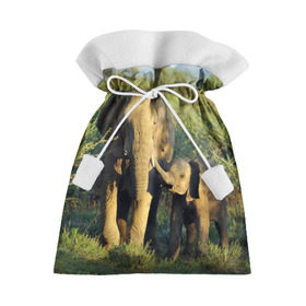 Подарочный 3D мешок с принтом Слониха и слоненок в природе , 100% полиэстер | Размер: 29*39 см | африка | африканский | бивни | большой | гигант джунгли | зоопарк | индийский | индия | лесной великан | мамонт | огромный | саванна | сафари | серый | слон | слоненок | слониха | стадо | уши | хобот