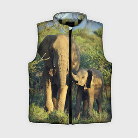 Женский жилет утепленный 3D с принтом Слониха и слоненок в природе ,  |  | африка | африканский | бивни | большой | гигант джунгли | зоопарк | индийский | индия | лесной великан | мамонт | огромный | саванна | сафари | серый | слон | слоненок | слониха | стадо | уши | хобот