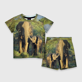 Детский костюм с шортами 3D с принтом Слониха и слоненок в природе ,  |  | африка | африканский | бивни | большой | гигант джунгли | зоопарк | индийский | индия | лесной великан | мамонт | огромный | саванна | сафари | серый | слон | слоненок | слониха | стадо | уши | хобот