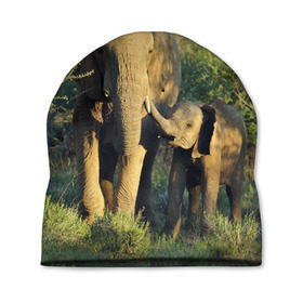 Шапка 3D с принтом Слониха и слоненок в природе , 100% полиэстер | универсальный размер, печать по всей поверхности изделия | африка | африканский | бивни | большой | гигант джунгли | зоопарк | индийский | индия | лесной великан | мамонт | огромный | саванна | сафари | серый | слон | слоненок | слониха | стадо | уши | хобот