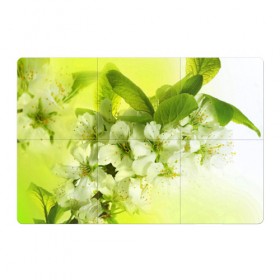 Магнитный плакат 3Х2 с принтом Цветы яблони , Полимерный материал с магнитным слоем | 6 деталей размером 9*9 см | Тематика изображения на принте: белый | весна | дерево | зеленый | природа | растения | цветы | яблоня