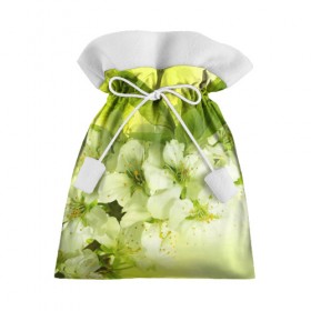Подарочный 3D мешок с принтом Цветы яблони , 100% полиэстер | Размер: 29*39 см | белый | весна | дерево | зеленый | природа | растения | цветы | яблоня