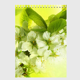 Скетчбук с принтом Цветы яблони , 100% бумага
 | 48 листов, плотность листов — 100 г/м2, плотность картонной обложки — 250 г/м2. Листы скреплены сверху удобной пружинной спиралью | белый | весна | дерево | зеленый | природа | растения | цветы | яблоня