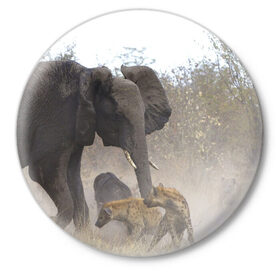 Значок с принтом Гиены охотятся на слона ,  металл | круглая форма, металлическая застежка в виде булавки | африка | африканский | бивни | большой | гигант джунгли | гиены | индийский | индия | лесной великан | мамонт | огромный | охота | саванна | сафари | серый | слон | слониха | стадо | уши | хобот