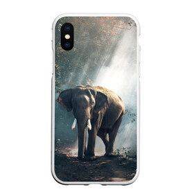 Чехол для iPhone XS Max матовый с принтом Слон в лесу , Силикон | Область печати: задняя сторона чехла, без боковых панелей | Тематика изображения на принте: африка | африканский | бивни | большой | гигант джунгли | зоопарк | индийский | индия | лесной великан | мамонт | огромный | саванна | сафари | серый | слон | слоненок | слониха | стадо | уши | хобот