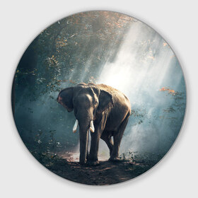 Коврик круглый с принтом Слон в лесу , резина и полиэстер | круглая форма, изображение наносится на всю лицевую часть | Тематика изображения на принте: африка | африканский | бивни | большой | гигант джунгли | зоопарк | индийский | индия | лесной великан | мамонт | огромный | саванна | сафари | серый | слон | слоненок | слониха | стадо | уши | хобот