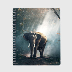 Тетрадь с принтом Слон в лесу , 100% бумага | 48 листов, плотность листов — 60 г/м2, плотность картонной обложки — 250 г/м2. Листы скреплены сбоку удобной пружинной спиралью. Уголки страниц и обложки скругленные. Цвет линий — светло-серый
 | Тематика изображения на принте: африка | африканский | бивни | большой | гигант джунгли | зоопарк | индийский | индия | лесной великан | мамонт | огромный | саванна | сафари | серый | слон | слоненок | слониха | стадо | уши | хобот