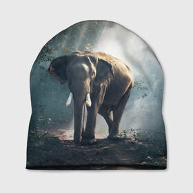 Шапка 3D с принтом Слон в лесу , 100% полиэстер | универсальный размер, печать по всей поверхности изделия | африка | африканский | бивни | большой | гигант джунгли | зоопарк | индийский | индия | лесной великан | мамонт | огромный | саванна | сафари | серый | слон | слоненок | слониха | стадо | уши | хобот