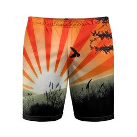 Мужские шорты 3D спортивные с принтом Закат ,  |  | 3d | деревья | другие | закат | картинка | лето | линии | полосы | прикольные | природа | птицы | растение | солнце | цветные | япония | яркие