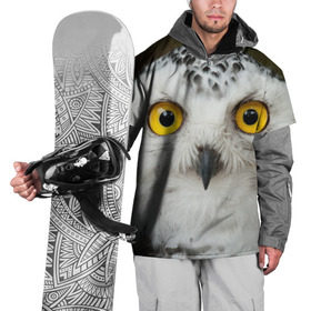 Накидка на куртку 3D с принтом Белый филин , 100% полиэстер |  | глаза | клюв | когти | крылья | лес | летать | мудрая | мудрость | неясыть | ночная | ночь | охота | перья | полярная | почтовая | птица | серая | сова | совенок | сон | сыч | умная | филин | хищник