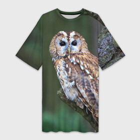 Платье-футболка 3D с принтом Сова ,  |  | глаза | клюв | когти | крылья | лес | летать | мудрая | мудрость | неясыть | ночная | ночь | охота | перья | полярная | почтовая | птица | серая | сова | совенок | сон | сыч | умная | филин | хищник