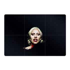 Магнитный плакат 3Х2 с принтом Леди Гага , Полимерный материал с магнитным слоем | 6 деталей размером 9*9 см | lady gaga | леди гага