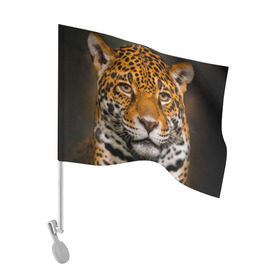 Флаг для автомобиля с принтом Jaguar , 100% полиэстер | Размер: 30*21 см | глаза | дикая кошка | кошка | леопард | сафари | хищник | ягуар