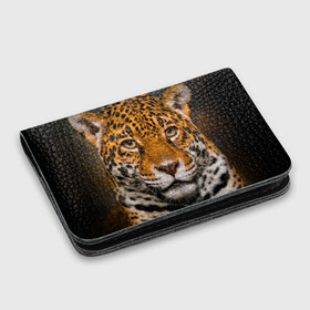 Картхолдер с принтом с принтом Jaguar , натуральная матовая кожа | размер 7,3 х 10 см; кардхолдер имеет 4 кармана для карт; | глаза | дикая кошка | кошка | леопард | сафари | хищник | ягуар
