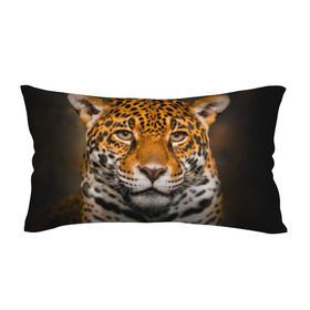 Подушка 3D антистресс с принтом Jaguar , наволочка — 100% полиэстер, наполнитель — вспененный полистирол | состоит из подушки и наволочки на молнии | глаза | дикая кошка | кошка | леопард | сафари | хищник | ягуар