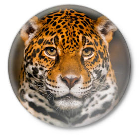 Значок с принтом Jaguar ,  металл | круглая форма, металлическая застежка в виде булавки | глаза | дикая кошка | кошка | леопард | сафари | хищник | ягуар