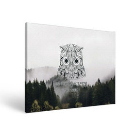 Холст прямоугольный с принтом Twin Peaks , 100% ПВХ |  | Тематика изображения на принте: twin peaks твин пикс | девид линч | лес | лора палмер | сова | туман