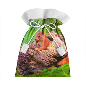 Подарочный 3D мешок с принтом Белка , 100% полиэстер | Размер: 29*39 см | Тематика изображения на принте: белка | животные | лес | милая | природа | яркая