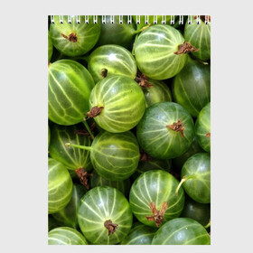 Скетчбук с принтом Крыжовник , 100% бумага
 | 48 листов, плотность листов — 100 г/м2, плотность картонной обложки — 250 г/м2. Листы скреплены сверху удобной пружинной спиралью | еда | зеленый | крыжовник | растения | текстура | фрукты | ягоды