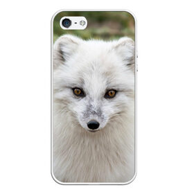 Чехол для iPhone 5/5S матовый с принтом White Fox , Силикон | Область печати: задняя сторона чехла, без боковых панелей | fox | red | лиса | лисенок | рыжая