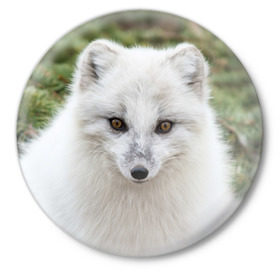 Значок с принтом White Fox ,  металл | круглая форма, металлическая застежка в виде булавки | Тематика изображения на принте: fox | red | лиса | лисенок | рыжая