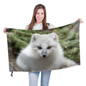 Флаг 3D с принтом White Fox , 100% полиэстер | плотность ткани — 95 г/м2, размер — 67 х 109 см. Принт наносится с одной стороны | fox | red | лиса | лисенок | рыжая