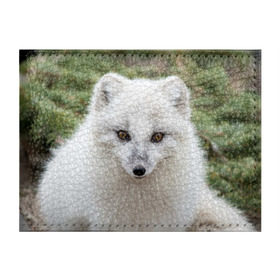 Обложка для студенческого билета с принтом White Fox , натуральная кожа | Размер: 11*8 см; Печать на всей внешней стороне | Тематика изображения на принте: fox | red | лиса | лисенок | рыжая