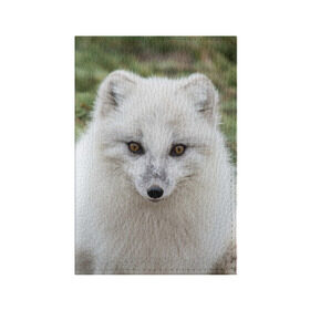 Обложка для паспорта матовая кожа с принтом White Fox , натуральная матовая кожа | размер 19,3 х 13,7 см; прозрачные пластиковые крепления | Тематика изображения на принте: fox | red | лиса | лисенок | рыжая