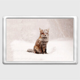 Магнит 45*70 с принтом Snow , Пластик | Размер: 78*52 мм; Размер печати: 70*45 | fox | red | лиса | лисенок | рыжая