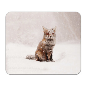 Коврик прямоугольный с принтом Snow , натуральный каучук | размер 230 х 185 мм; запечатка лицевой стороны | fox | red | лиса | лисенок | рыжая