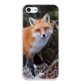 Чехол для iPhone 5/5S матовый с принтом Лес , Силикон | Область печати: задняя сторона чехла, без боковых панелей | fox | red | лиса | лисенок | рыжая