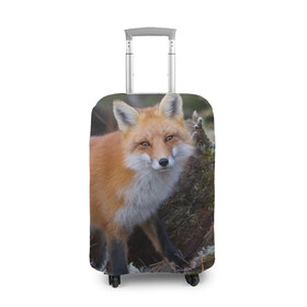 Чехол для чемодана 3D с принтом Лес , 86% полиэфир, 14% спандекс | двустороннее нанесение принта, прорези для ручек и колес | fox | red | лиса | лисенок | рыжая