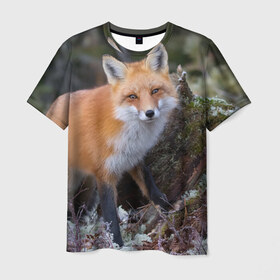 Мужская футболка 3D с принтом Лес , 100% полиэфир | прямой крой, круглый вырез горловины, длина до линии бедер | Тематика изображения на принте: fox | red | лиса | лисенок | рыжая