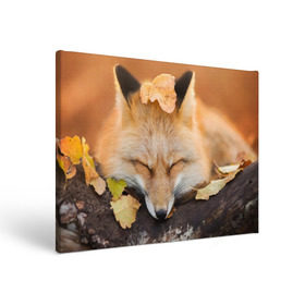 Холст прямоугольный с принтом Соня , 100% ПВХ |  | fox | red | лиса | лисенок | рыжая