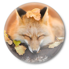 Значок с принтом Соня ,  металл | круглая форма, металлическая застежка в виде булавки | Тематика изображения на принте: fox | red | лиса | лисенок | рыжая