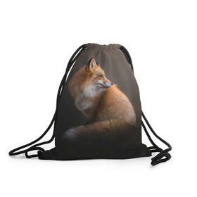 Рюкзак-мешок 3D с принтом Лиса , 100% полиэстер | плотность ткани — 200 г/м2, размер — 35 х 45 см; лямки — толстые шнурки, застежка на шнуровке, без карманов и подкладки | Тематика изображения на принте: fox | red | лиса | лисенок | рыжая