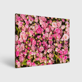 Холст прямоугольный с принтом Розовый рай , 100% ПВХ |  | Тематика изображения на принте: бутон | лепестки | роза | розовый | розочка | цветок | цветы