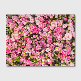 Альбом для рисования с принтом Розовый рай , 100% бумага
 | матовая бумага, плотность 200 мг. | Тематика изображения на принте: бутон | лепестки | роза | розовый | розочка | цветок | цветы