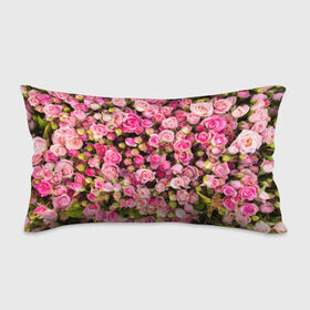 Подушка 3D антистресс с принтом Розовый рай , наволочка — 100% полиэстер, наполнитель — вспененный полистирол | состоит из подушки и наволочки на молнии | бутон | лепестки | роза | розовый | розочка | цветок | цветы