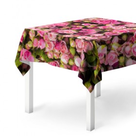 Скатерть 3D с принтом Розовый рай , 100% полиэстер (ткань не мнется и не растягивается) | Размер: 150*150 см | бутон | лепестки | роза | розовый | розочка | цветок | цветы