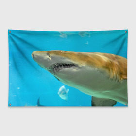 Флаг-баннер с принтом Тигровая акула , 100% полиэстер | размер 67 х 109 см, плотность ткани — 95 г/м2; по краям флага есть четыре люверса для крепления | голубое море | океан | рыба