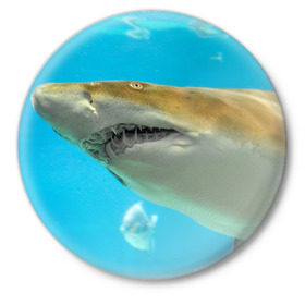 Значок с принтом Тигровая акула ,  металл | круглая форма, металлическая застежка в виде булавки | Тематика изображения на принте: голубое море | океан | рыба