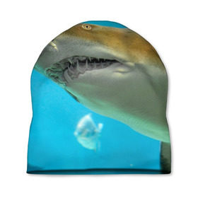 Шапка 3D с принтом Тигровая акула , 100% полиэстер | универсальный размер, печать по всей поверхности изделия | Тематика изображения на принте: голубое море | океан | рыба